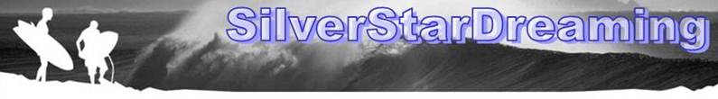SSDreamingLogo