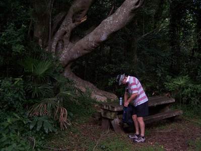 Mt Keira Ring Track (2)