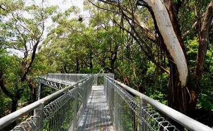 IllawarraFlyTower